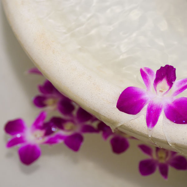 Calgary Body Scrubs The Spa Ritual Calgary Spa